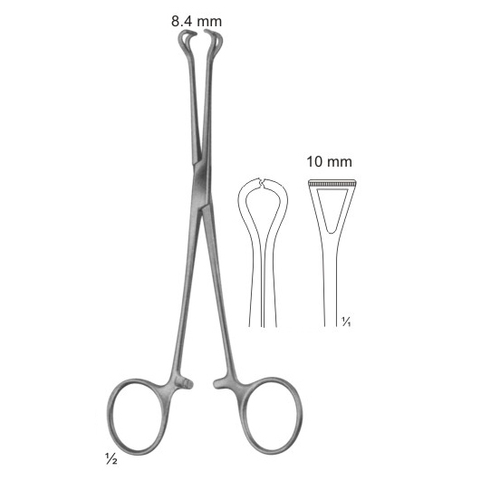 Abdominal Surgery Intestinal and Rectal Instruments