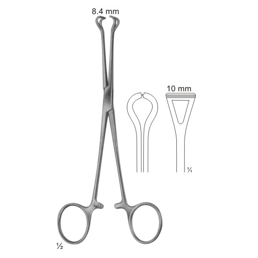 Abdominal Surgery Intestinal and Rectal Instruments