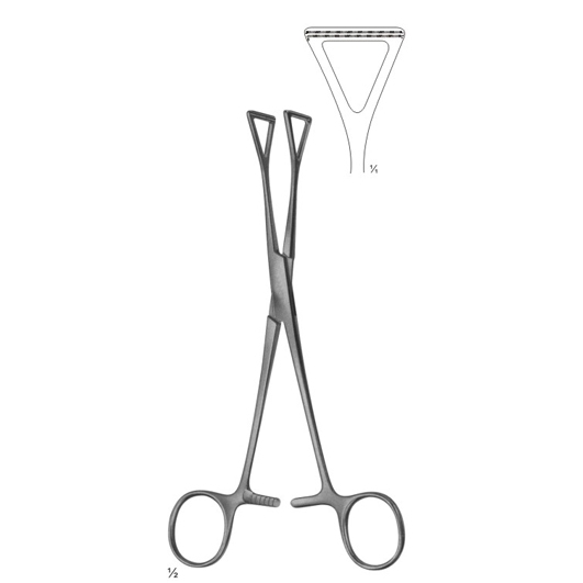 Abdominal Surgery Intestinal and Rectal Instruments