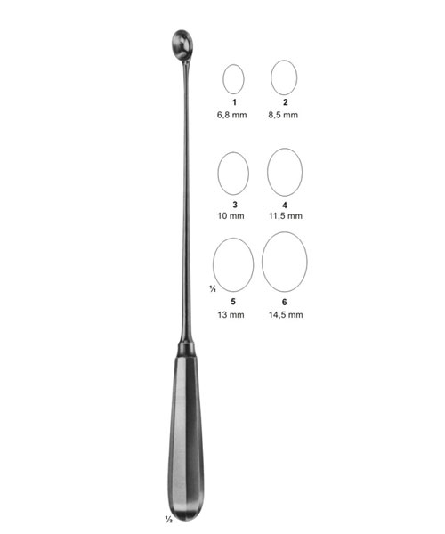 Biopsy Instruments and Curettes