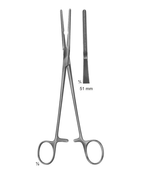 Cardiovascular and Thoracic Surgery