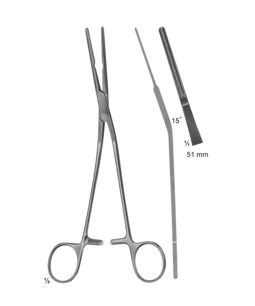 Cardiovascular and Thoracic Surgery