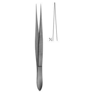 Dissecting and Tissue Forceps