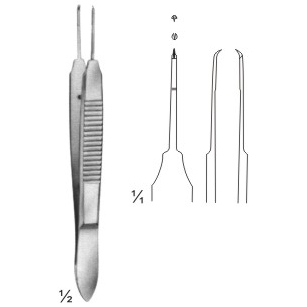 Dissecting and Tissue Forceps