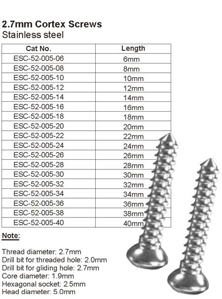 Mini Implants