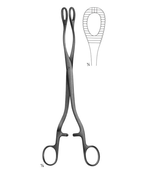 Uterine Probes, Uterine Dressing, Polypus and Ovum Forceps