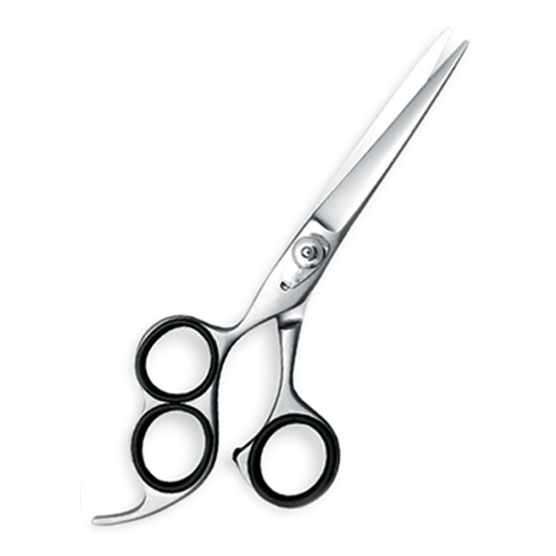 Professional Hair Cutting Scissors