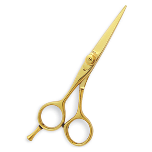 Professional Hair Cutting Scissors