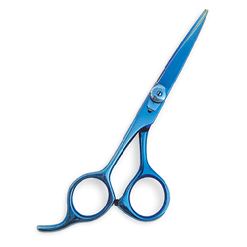 Professional Hair Cutting Scissors