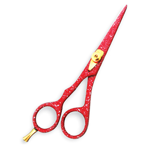 Professional Hair Cutting Scissors